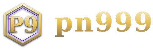 pn999 logo